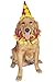 Rubie's Clown Pet Costume Collar & Hat