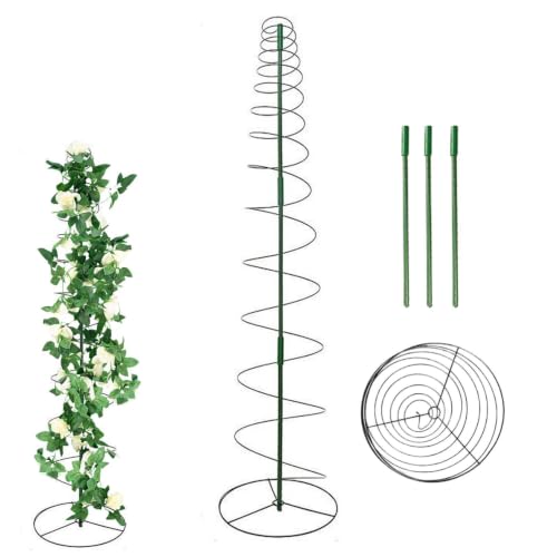 Clemátides y tomates guiados con soporte para plantas en macetas 2