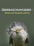  Überraschungseier - Neues von Kuckuck und Co.