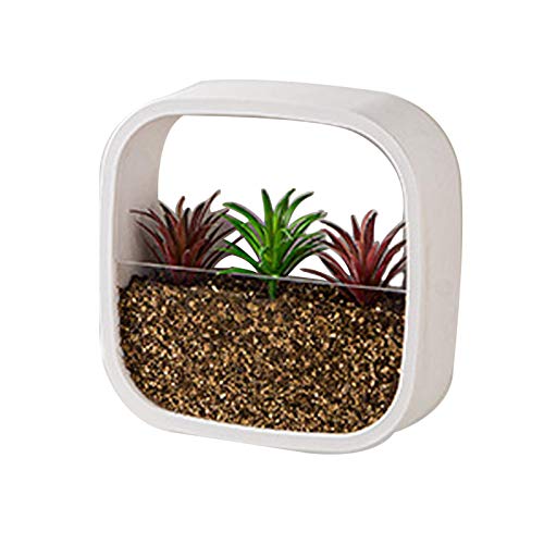 WUHUAROU Jarrón redondo de pared terrario pared macetero pared plantas pared maceta colgante maceta pared maceta maceta maceta soporte soporte soporte de pared maceta casa jardín decoración blanco Cover