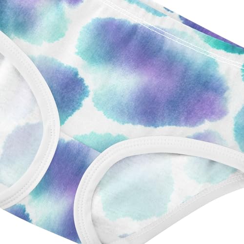 Soft Spots Pastel Girls Underwear Toddlers 2t Cotton Panties for Girl Florals Kids Briefs Undies4