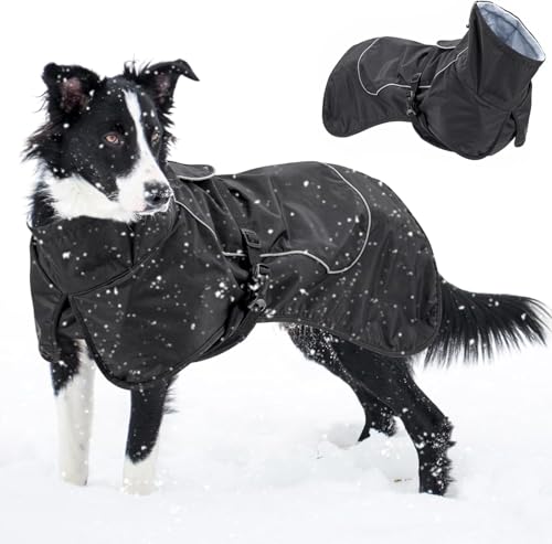 Abrigo impermeable para perro Skmeditec con arnés integrado y forro polar 2