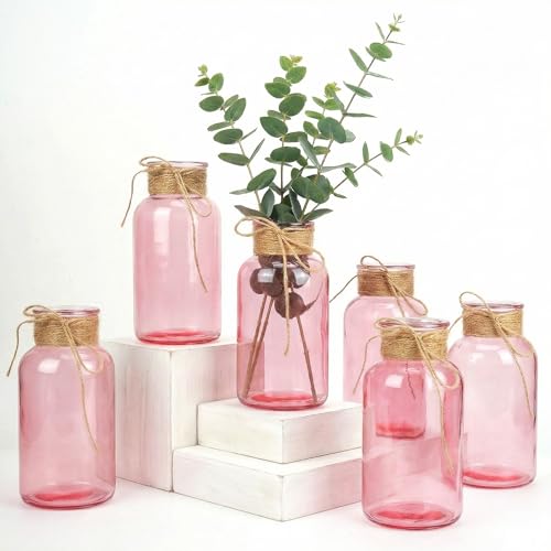 Mason Jars for Centerpiece, 6 Pack Vintage Farmhouse Glass Flower
