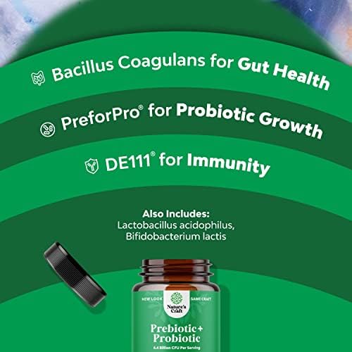 Miniatura 4 de Suplemento de prebióticos y probióticos para la salud intestinal, cápsulas probióticas acidophilus súper potentes para la salud digestiva con