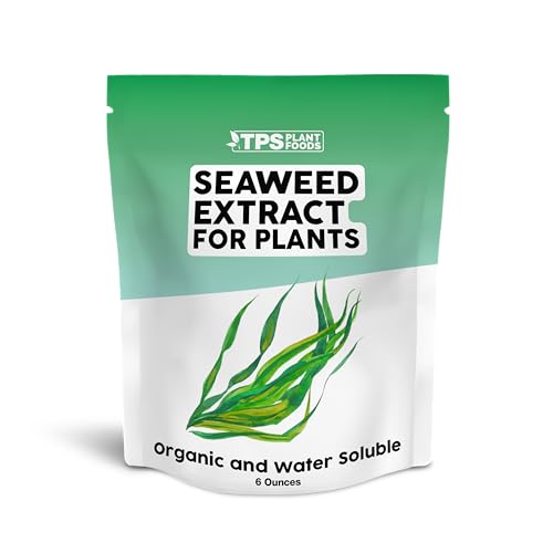 Granular Seaweed Extract – Slow Release Seaweed Supplement for Faster Growth & Stronger Roots, 6 oz