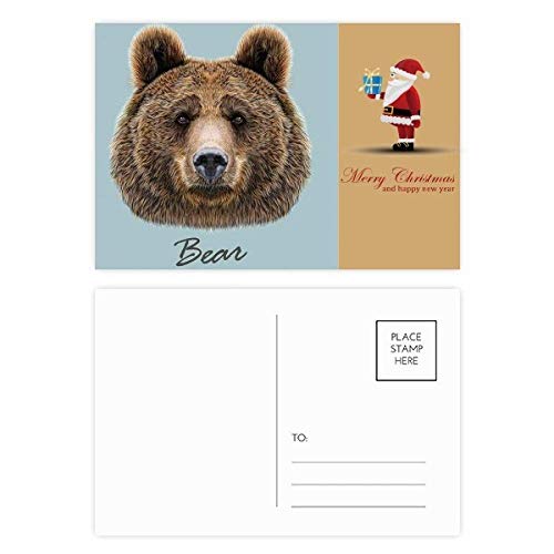 Cartes postales géantes avec motif ours et Père Noël : Le coffret de 20 à offrir