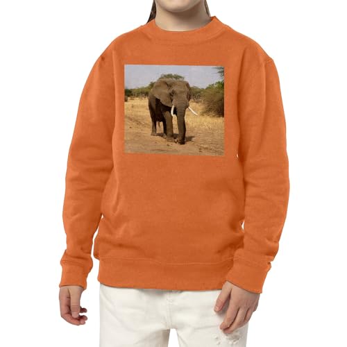 Sweatshirt enfant éléphant d'Afrique pull chaud résistant pour l'école