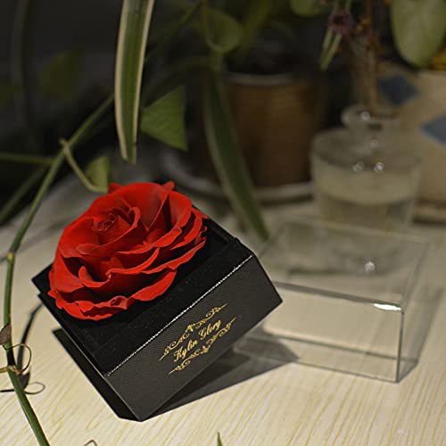 Fresh Cut Flower Preserved Rose for Women Mom Wife Girlfriend - Flower Gift Real Rose Decor for Mother's Day Valentine's Day Wedding Party Celebration Birthday Anniversary (Red)