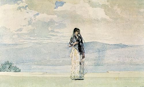 Prints toile peinture murale Winslow Homer affiche décoration murale salon 60x90