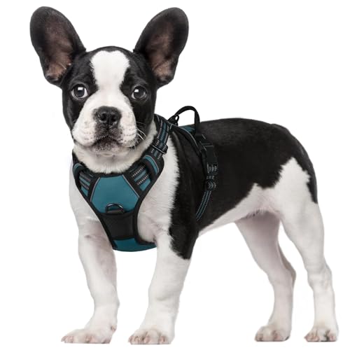 Image of rabbitgoo Dog Harness No Pull with 2 Leash Clips, Adjustable Soft Padded, Reflective Oxford No Choke Pet Vest with Easy Control Handle for Small Dogs, Blue Coral, S