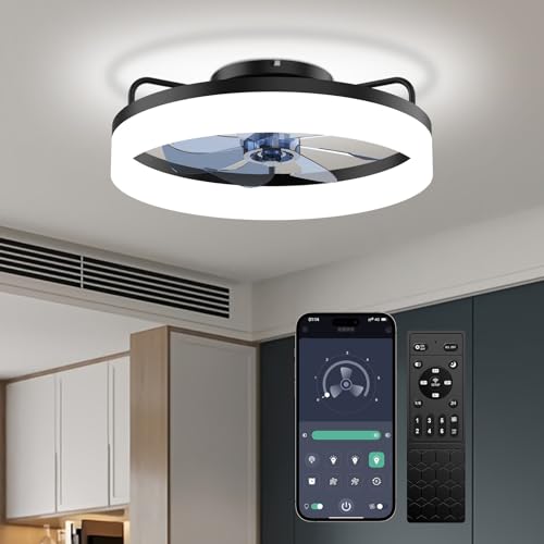 CKCOEO Low Profile Ceiling Fan with lights and Remote, Modern Fandelier Ceiling Fan Flush Mount...