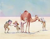 Vamos dar a volta ao mundo?: Conhecendo nosso planeta com a família Klink (Português)