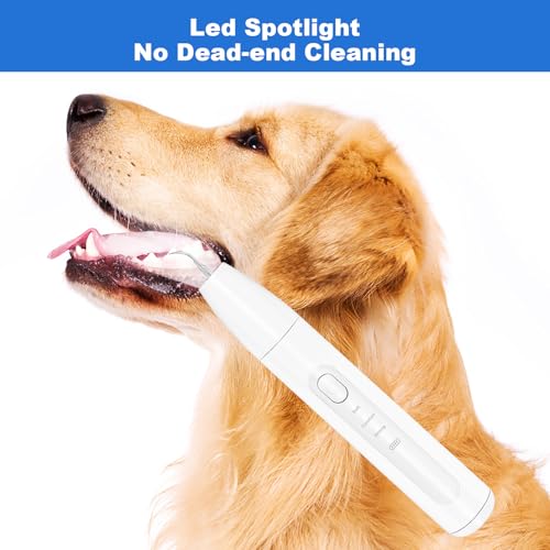 Image of Rarepet Dog Teeth Cleaning Kit with Light, USB Rechargeable Dogs Tooth Brushing Kit, 3 Modes Doggie Toothbrush, Dog Plaque and Tartar Remover for Teeth, Low Noise Dog Teeth Cleaner, Pure White