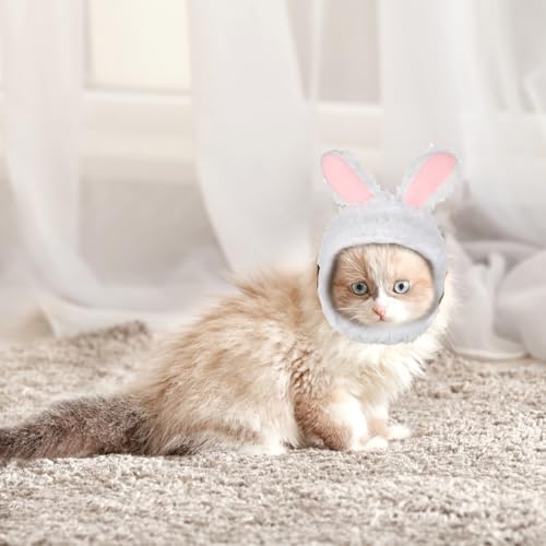 WLLHYF Süße Katze Wintermütze Warm Weich Bequem Verstellbar für Kleine Haustiere Kopfbedeckung Kostüm Kleidung für Katzen, Hunde (Weiß)