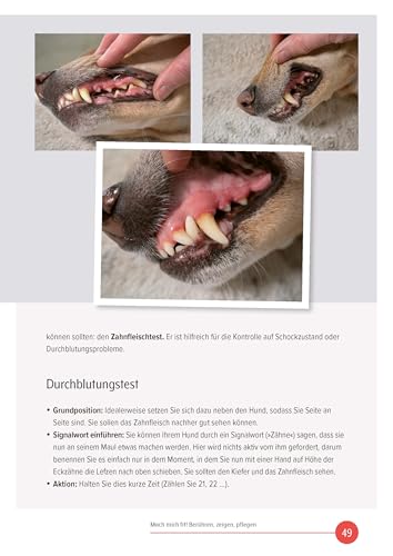 Medical Training für Hunde: Entspannt bei Tierarzt, Pflege & Co. (DER HUND Wissen)
