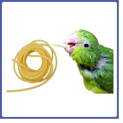 Amazon.in Bestsellers: The most popular items in Hand-Feeding Tools