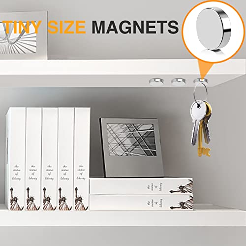 TRYMAG Small Magnets 8x2mm, 300Pcs Small Round Rare Earth Magnets, Tiny Strong Neodymium Disc Magnets for Whiteboard, Fridge, Office, Hobbies, Crafts and Dry Erase Board