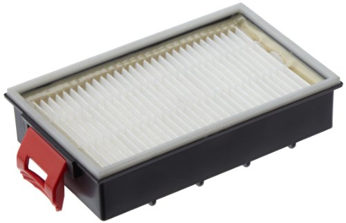 Bosch BBZ155HF Filtro HEPA