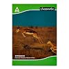Classmate Notebook 180 Pages(24 X 18cm) Pack of 10