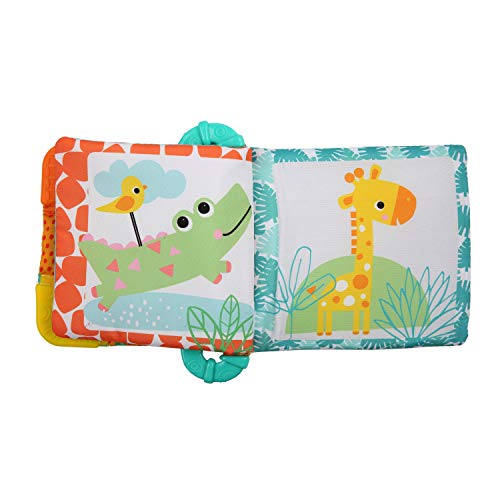 Bright Starts Teethe & Read Soft Book Toy, Ages 3 Months +, Style May Vary by Bright Starts - Image 5