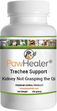 Breathing Problems - Trachea Support: Kidney Not Grasping The Qi Formula - Herbal Remedy for Dogs with Breathing/Wheezing Difficulties - Premium-Grade Herbs