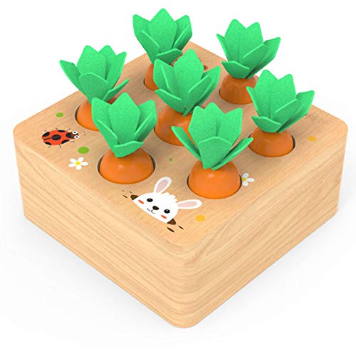Wooden Carrots Montessori Sensory Activities Learning Educational Shape Sorter Toys - Fine Motor Skills Block Puzzles Board Game for Babies Toddlers Age 9 12 18 month one 1 2 3 year old boy girl gifts