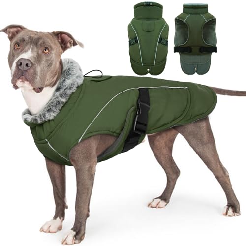 Are dog coats necessary