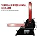 BUCKTOOL Powerful 1-1/2 HP Bench Belt Sander for Wood Working 6 in. x 48 in. Belt and 10 in. Disc Sander BD61000