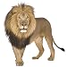Adesivo murale leone, Adesivi murali ad acquerello, Adesivo da parete animali, decorazione della parete di casa Per camera da letto, soggiorno, armadio, porta, corridoio - 39 x 37 cm (B)