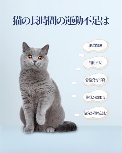 SYKJ 猫用トレッドミル キャットホイール の商品画像 6