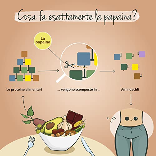 Papaya Vegavero® | 1500 Mg Di Papaina | Digestione & Metabolismo | 120 Capsule | Vegan - 4