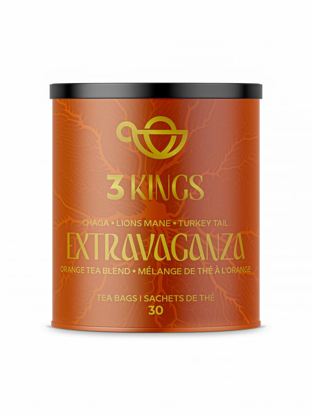 3 KINGS thé premium Chaga Lion's Mane Turkey Tail 30 sachets