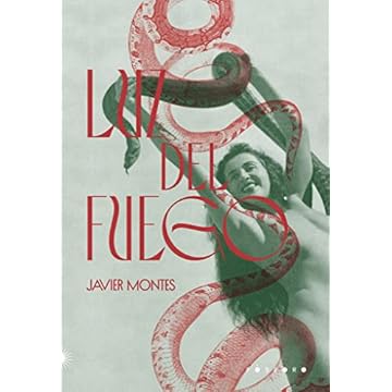 Capa do livro Luz del Fuego
