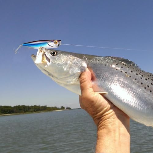 Matériel d'appâts de pêche réalistes avec boîte double face anti-mêlement