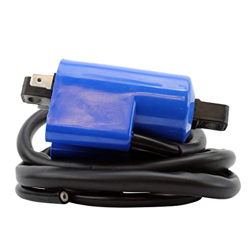 ジン君セット 413L0vIPdVL.jpg