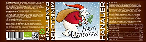 Hanauer Bio Panettone, 1er Pack (1 x 100 g)