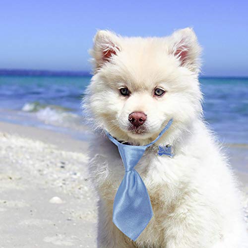 Segarty Small Dog Ties, 40 Pcs Dog Neck Bow Tie With Adjustable Solid Color Dog Bowtie Collar For Wedding Holiday Birthday Christmas Costumes Grooming Accessories, Bulk Necktie Gift For Cat Puppy Pet #TOP1