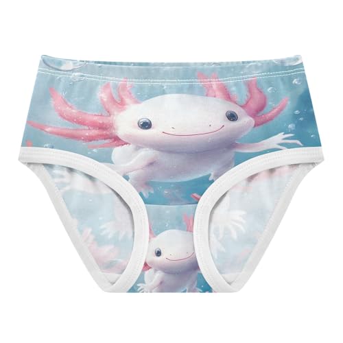 Cute Axolotl Undersea Toddler Girls's Underwear 2T 202b8859