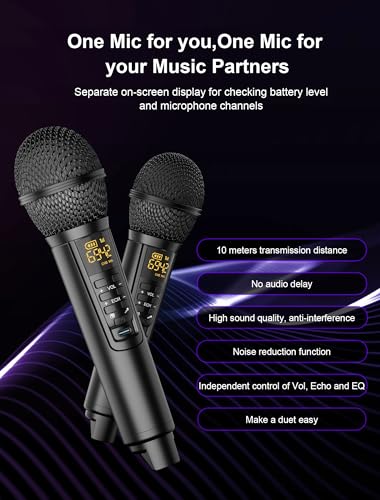 Karaoke Maschine für Erwachsene Kinder mit 2 drahtlose Mikrofone, tragbare Bluetooth Singen PA-Lautsprechersystem mit LED-Leuchten für Home Party,Hochzeit,Kirche,Geburtstag Geschenke (K317)