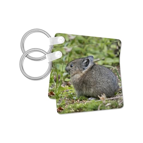 3dRose, USA. Mt. Rainier N.P. Young American pika feeding., set of 2 Key Chains
