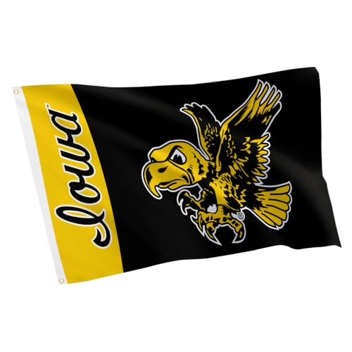 Desert Cactus University of Iowa Hawkeyes Flag 3x5 Outdoor (Vintage TN)