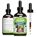 Pet Wellbeing - Life Gold for Large Dogs - Immune system support and antioxidant protection for canines with cancer - 4 oz (118 Milliliter)