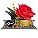 Baci Perugina Edizione Limitata Idee Regalo - Uomo e Donna - Buona Pasqua - Cioccolatini Ripieni Con Granella Al Gusto Limone e Nocciola 37,5 g + Rosa Rossa Artificiale