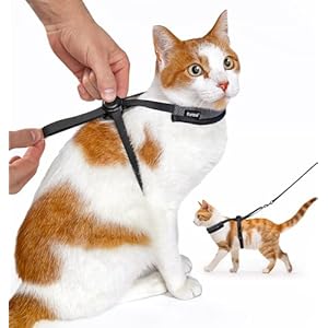 Furee Push-Button Harness for Cats Small Dogs Bunnys Ferrets for Walking, Non-Bulky, Open-Shoulders, Fully Adjustable Anti-Flop Over Max Mobility Escape-Proof Harness for Pets (Medium)