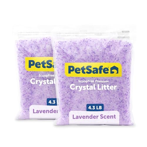 PetSafe - Lettiera per Gatti Premium Non Agglomerante Cristalli ScoopFree - Controllo degli Odori, Bassa Dispersione, Senza Polvere - Lavanda, Confezione da 2