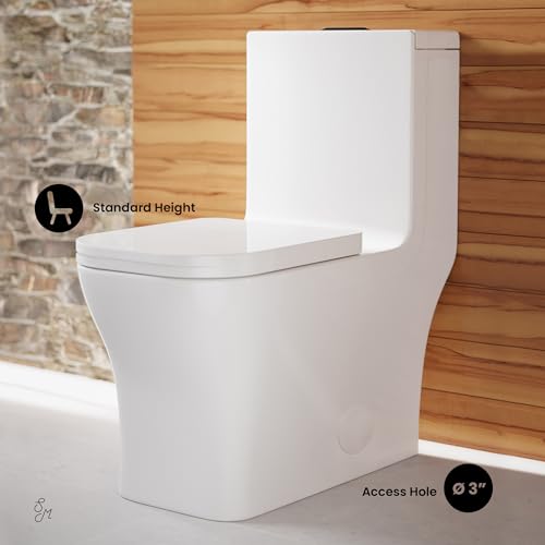 Image of Concorde One Piece Square Toilet Dual Flush, Black Hardware 1.1 /1.6 gpf