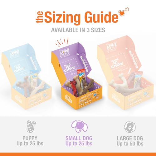 Nylabone Dog Gift Box, Includes 3 Strong Chew Toys and 1 Natural Treat, Gifts for Dogs, Small - Up to 25 lbs, 4 Pack by Nylabone - Image 3