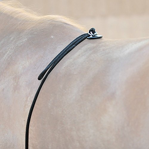 Foto von Kavalkade HO-Longierhilfe, schwarz, 261060000200