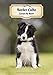 2020 Border Collie Carnet de Bord: Chiot ou Chien | 139 Pages | 12 Mois | Format A4 | Agenda | Journalier | Planificateur | Semainier Simple | Calendrier | Organizer
