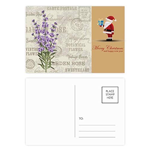 Cartes postales père Noël lavande violettes : lot de 20 cartes de voeux Noël